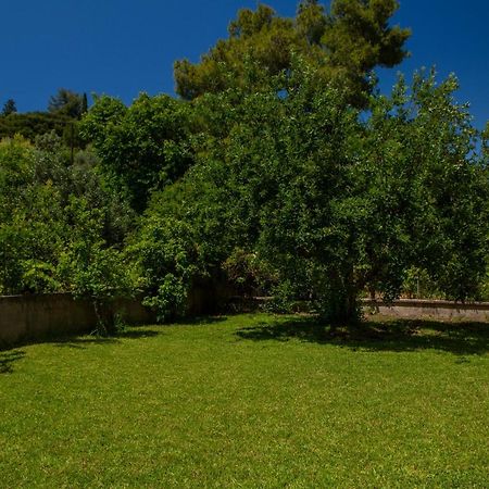 Villa Lygia Lygia (Lefkada) Exterior foto